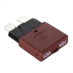 10 Amp Self Trip Fuse