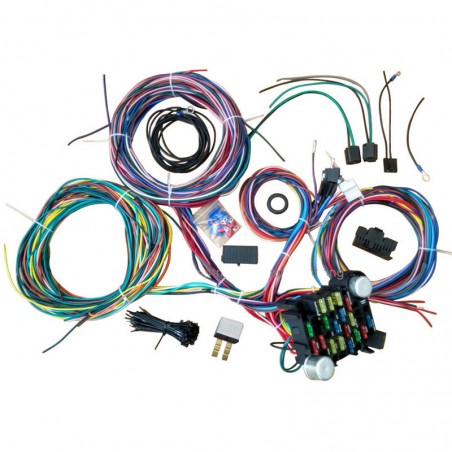 21 Circuit Wiring Harness for vehicle projects